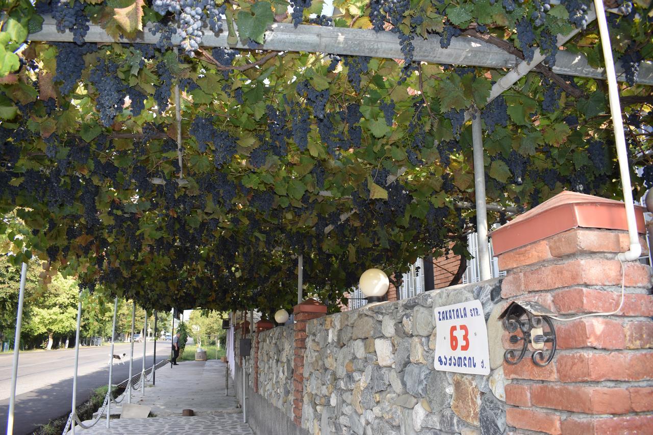 Family Hotel Lago & Wine Cellar 라고데키 외부 사진